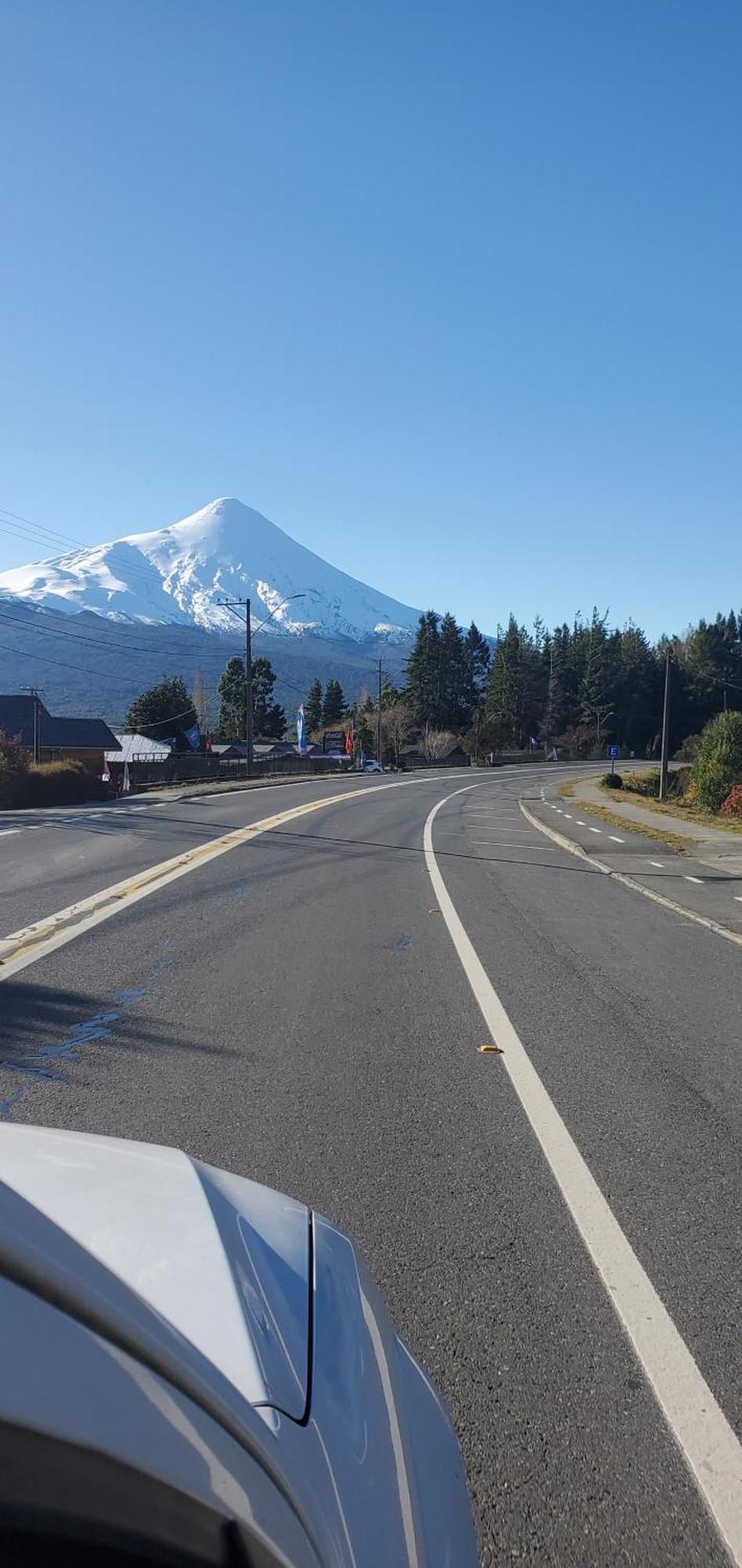 Abetos Puerto Varas